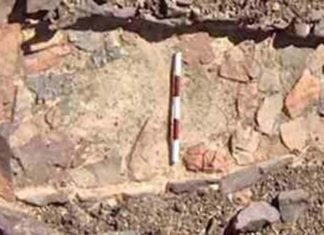 Βρήκε ναό αφιερωμένο στο Διόνυσο