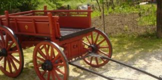 Κοριτσάκι έπεσε από κάρο στο Κόκκινο Νερό και τραυματίστηκε