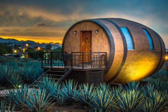 Κάνε κράτηση σε ένα βαρέλι τεκίλας για μια ξεχωριστή διαμονή Κάνε κράτηση σε ένα βαρέλι τεκίλας για μια ξεχωριστή διαμονή!