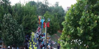 Με τον Παύλο Παυλίδη και τους B-Movies αρχίζει το Φεστιβάλ Πηνειού 2019