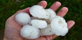 Ανακοίνωση της ΕΟΑΣΝΛ για τις χαλαζοπτώσεις στα Φάρσαλα