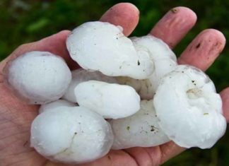 Ανακοίνωση της ΕΟΑΣΝΛ για τις χαλαζοπτώσεις στα Φάρσαλα Ανακοίνωση της ΕΟΑΣΝΛ για τις χαλαζοπτώσεις στα Φάρσαλα