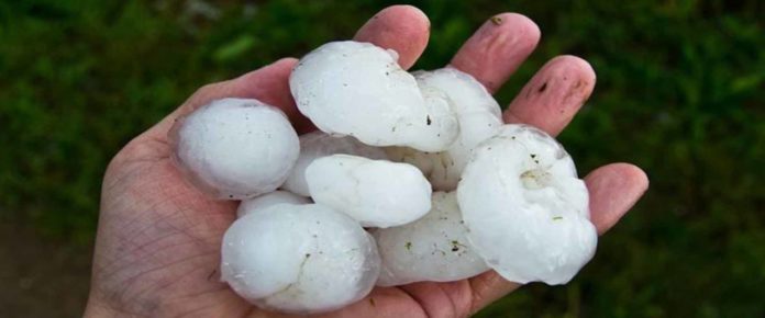 xalazi1 Ανακοίνωση της ΕΟΑΣΝΛ για τις χαλαζοπτώσεις στα Φάρσαλα