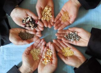 10η Πανθεσσαλική Γιορτή Ανταλλαγής Παραδοσιακών Σπόρων