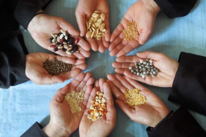 karpoi 10η Πανθεσσαλική Γιορτή Ανταλλαγής Παραδοσιακών Σπόρων