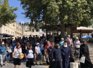 Λαρισαίοι στην Γαλιλαία των Εθνών