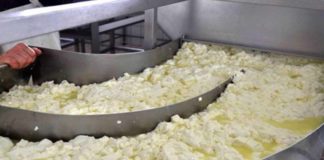 Νέα σύλληψη για μόλυνση ποταμού από τυροκομείο στη Λάρισα – Στο κρατητήριο 29χρονος