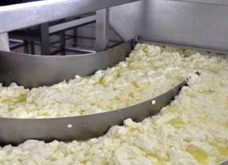 Νέα σύλληψη για μόλυνση ποταμού από τυροκομείο στη Λάρισα – Στο κρατητήριο 29χρονος