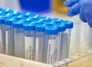 Κορωνοϊός: 33 νέα κρούσματα -Τα 10 στις πύλες εισόδου